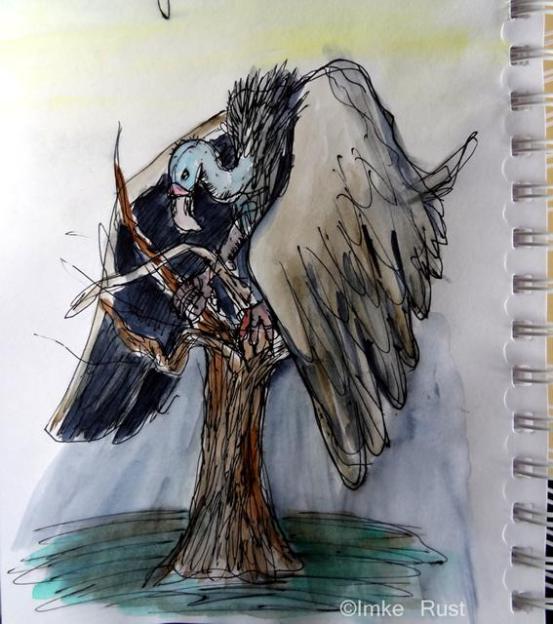 sketch, dark bird, vulture