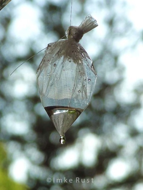 The plastic bag drop dripping empty © Imke Rust