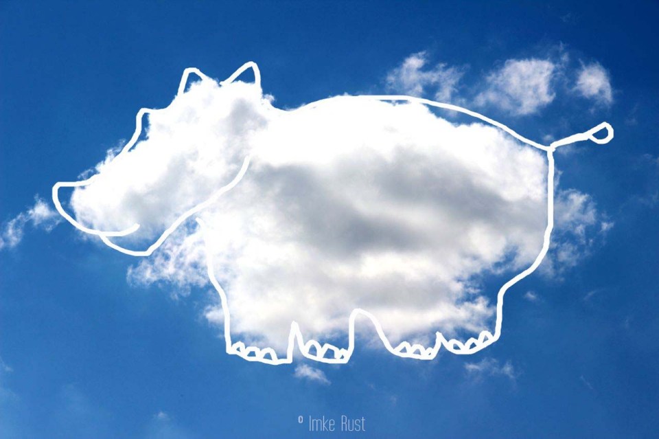Cloud Large Hippo, Digitally manipulated photograph, © Imke Rust