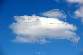 Cloud Sleepy Cat, Digitally manipulated photograph, © Imke Rust